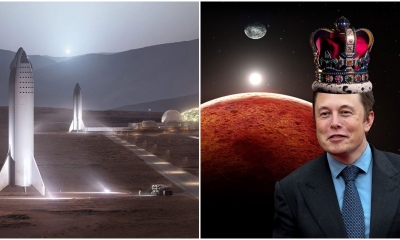 Tỷ phú 'Top 1 Server' Elon Musk: Tôi không cần tiền, tôi cống hiến hết mình cho Trái Đất và Sao Hỏa
