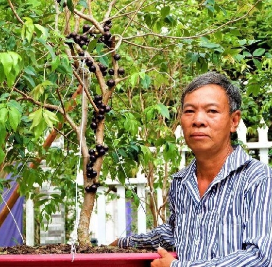 Lão nông Đồng Tháp bật mí bí quyết trồng giống nho lạ cho quả từ gốc đến ngọn, kiếm hàng chục triệu/tháng